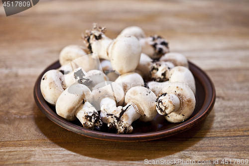 Image of Fresh raw organic champignons on brown ceramic plate on wooden t