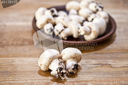 Image of Fresh raw organic champignons on brown ceramic plate on wooden t