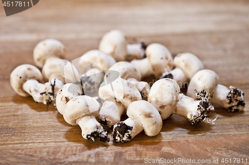 Image of Fresh raw organic champignons heap on a wooden table.