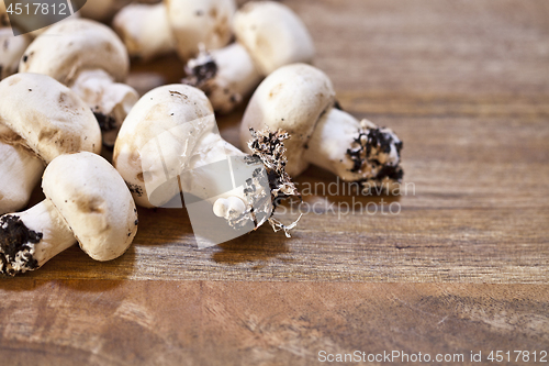 Image of Fresh raw organic champignons heap on a wooden table background.