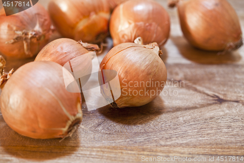 Image of Fresh organic onions heap closeup on rustic wooden background.