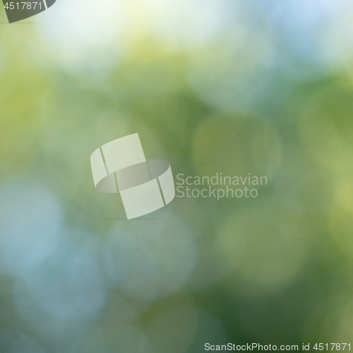 Image of Blurred green background with blue and green bokeh circles. Abst