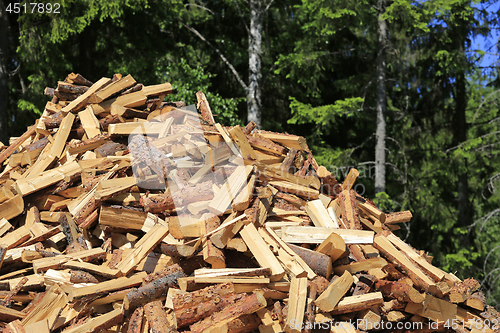 Image of Heap of Firewood at Edge of Forest