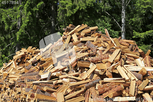 Image of Chopped Firewood at Edge of Forest