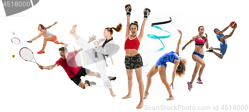 Image of Sport collage about kickboxing, basketball, badminton, taekwondo, tennis, athletics, rhythmic gymnastics, running and jumping in height