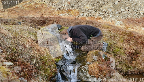 Image of Drinking from a stream in Iceland