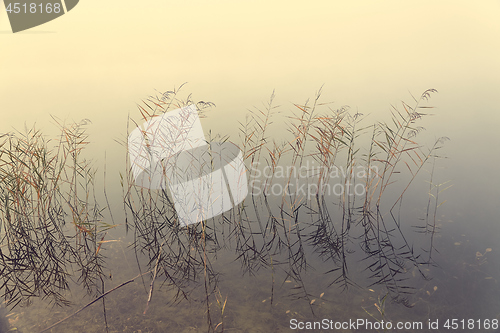 Image of Fog on the lakeside