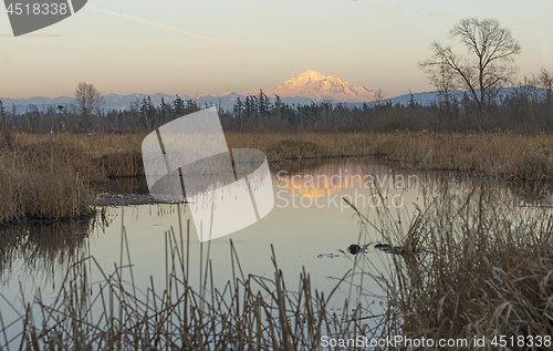 Image of Mount Baker Over Tennant Lake at Sunset Washington State