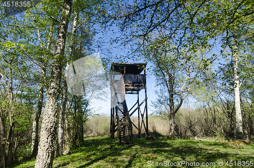 Image of Bird watching tower in a beautiful deciduous forest by springtim