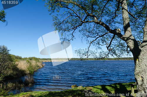 Image of View from the nature reserve Horns Kungsgard at the swedish isla