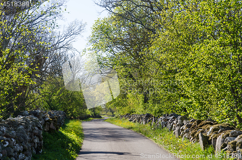 Image of Country road with dry stone walls by leafing time