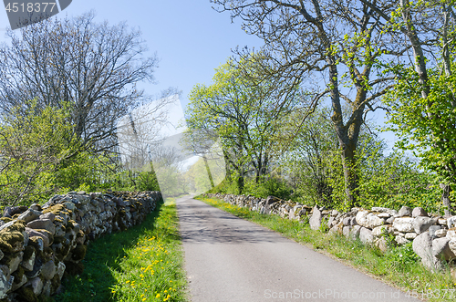 Image of Springtime view of a beautiful country road surrounded with dry 