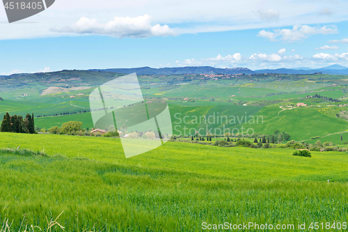 Image of Beautiful spring landscape with hills in Tuscany