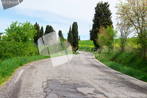 Image of Winding road in Tuscana, Italy