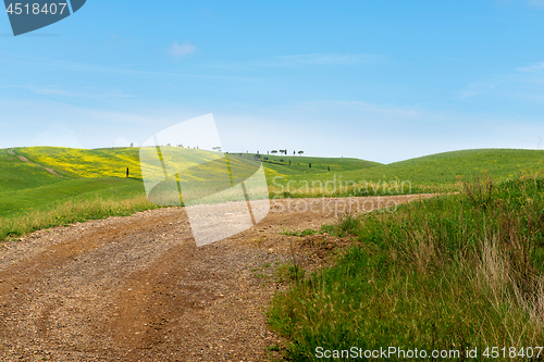 Image of Winding road in Tuscana, Italy