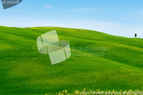 Image of Beautiful spring minimalistic landscape with green hills in Tuscany