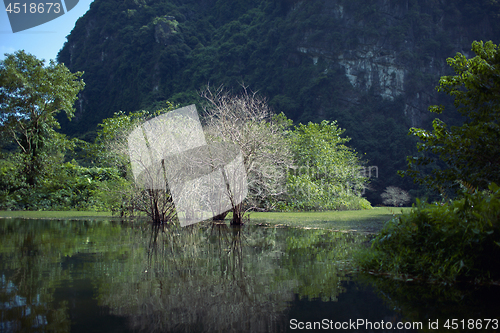 Image of Trang An landscape with water, trees and limestone mountain. Vietnam