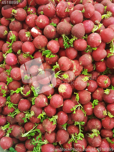 Image of Radish cluster