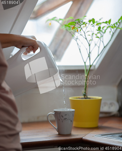 Image of A kitchen pastoral