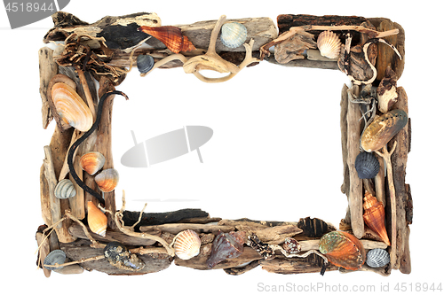 Image of Rustic Driftwood and Seashell Frame