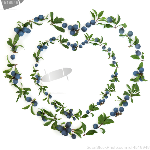 Image of Abstract Heart Shaped Sloe Berry Wreath