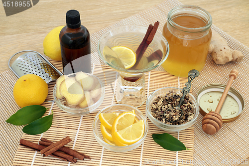 Image of Natural Alternative Cold and Flu Remedy