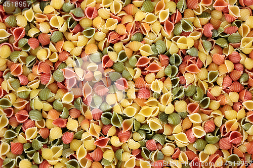 Image of Italian Conchigle Tricolour Pasta