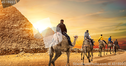 Image of Camel Caravan and Pyramids