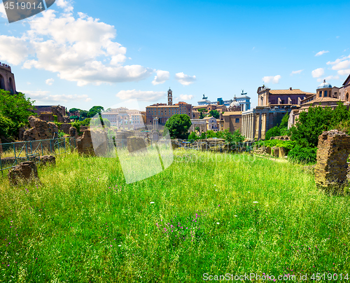 Image of Field and ruin