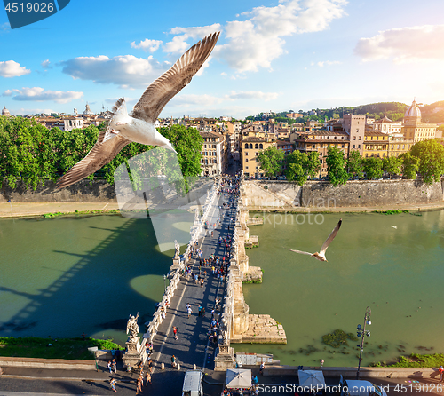 Image of Tiber in Rome