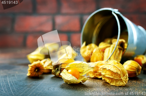 Image of Physalis fruit