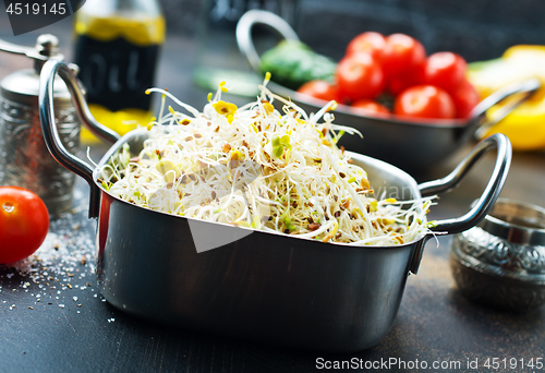 Image of Raw sprouts