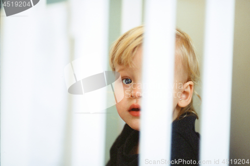 Image of Baby girl portrait. View through the crib