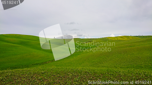 Image of Beautiful spring minimalistic landscape with green hills in Tuscany