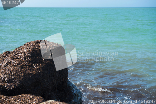 Image of Beautiful azure sea and the beach