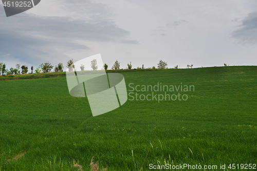 Image of Beautiful spring landscape with hills in Tuscany