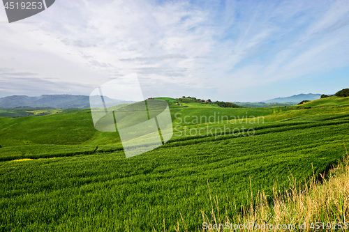 Image of Beautiful spring evening froggy landscape in Tuscany