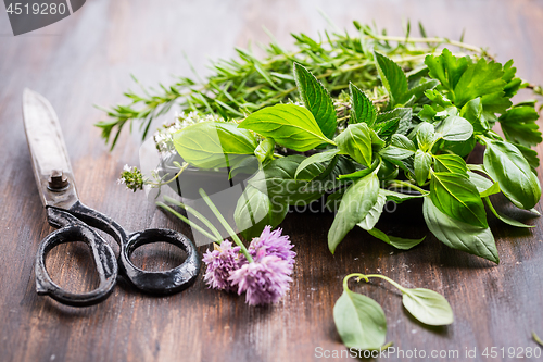 Image of Bunch of different herbs for cooking