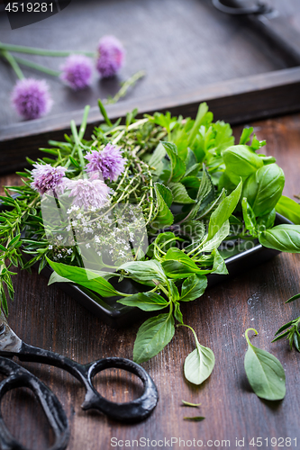 Image of Bunch of different herbs for cooking