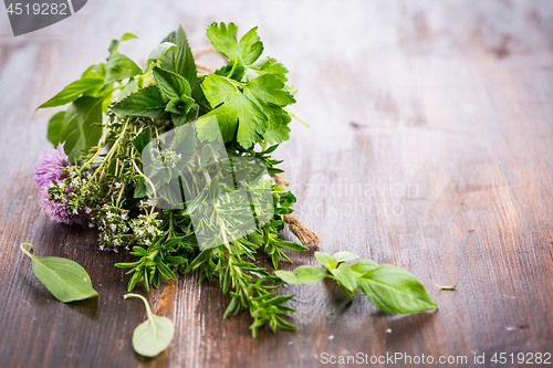 Image of Bunch of different herbs for cooking