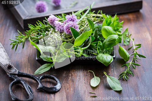 Image of Bunch of different herbs for cooking