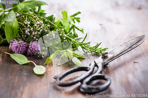 Image of Bunch of different herbs for cooking