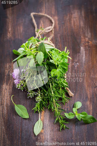 Image of Bunch of different herbs for cooking