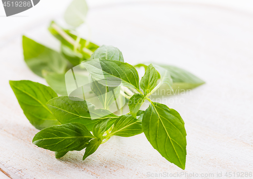 Image of Thai basil leaves