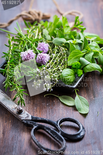 Image of Bunch of different herbs for cooking