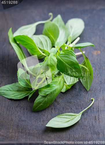 Image of Thai basil leaves