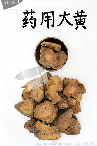 Image of Chinese Rhubarb Root Herb