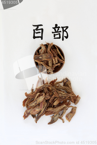 Image of Chinese Stemona Tuber Herb