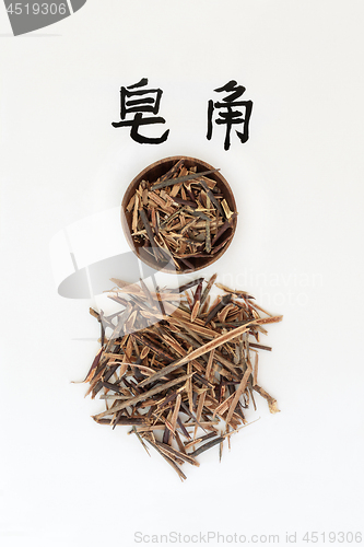 Image of Chinese Honeylocust Herb