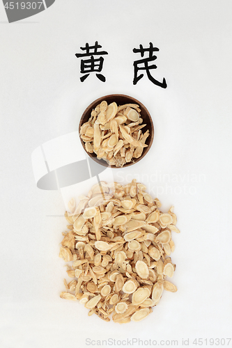 Image of Astragalus Root Herb